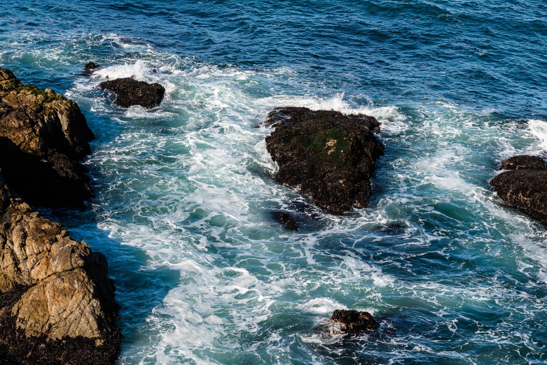 Bodega Bay © Jennifer Carr Photography-5.jpg