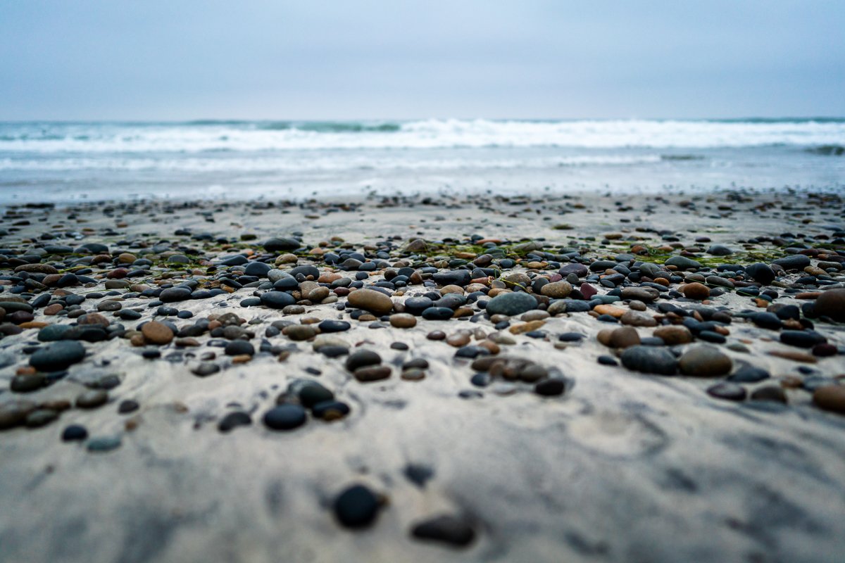 2021.10.22 Details on Beach in California © Jennifer Carr Photography-1.jpg