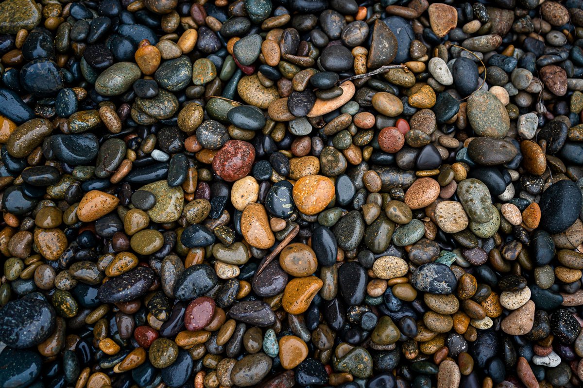 2021.10.22 Details on Beach in California © Jennifer Carr Photography-6.jpg