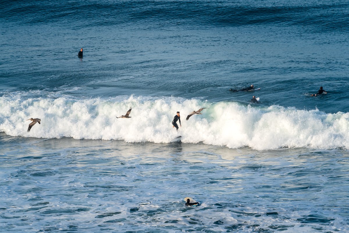 2021.10.24 Sunrise Surf California © Jennifer Carr Photography-12.jpg