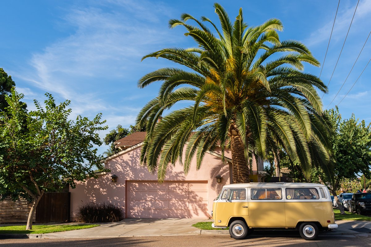 2021.10.24 Van and Palm Tree California © Jennifer Carr Photography-1.jpg