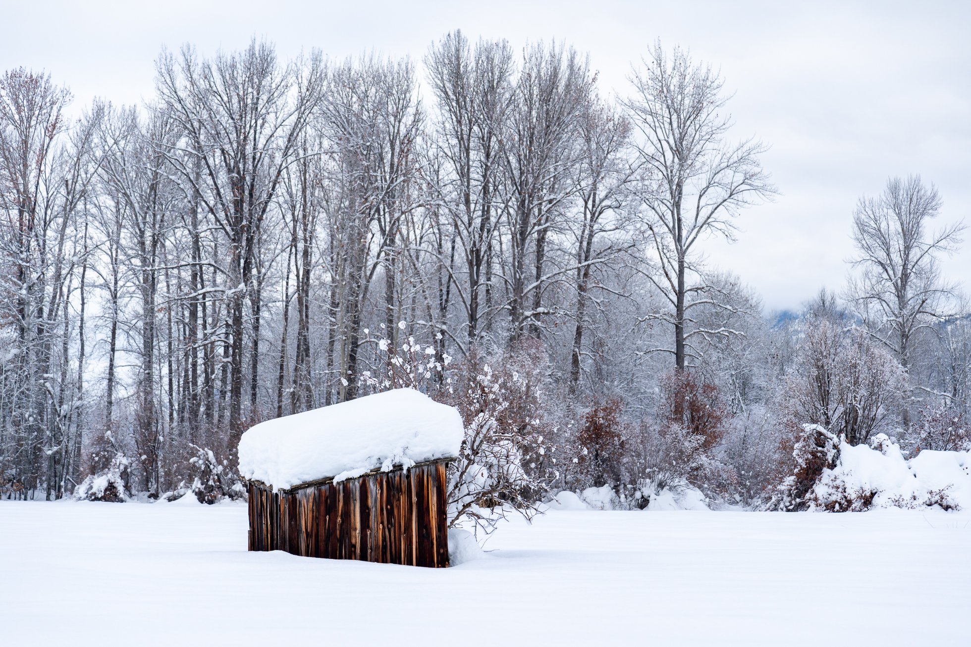 2023.01.03 Winter in Winthrop WA© Jennifer Carr Photography-6.jpg