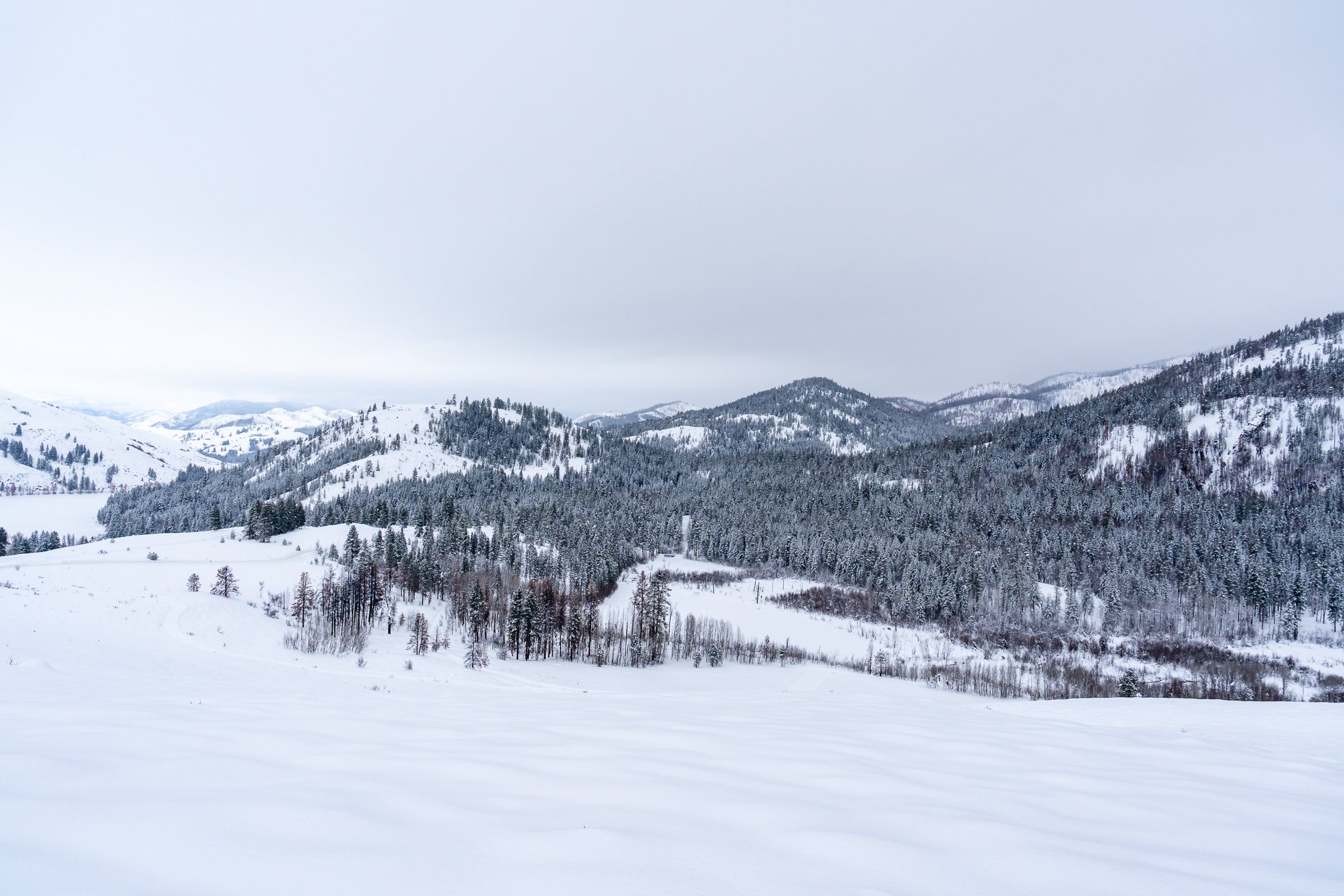 2023.01.04 Winter in Winthrop WA© Jennifer Carr Photography-16.jpg