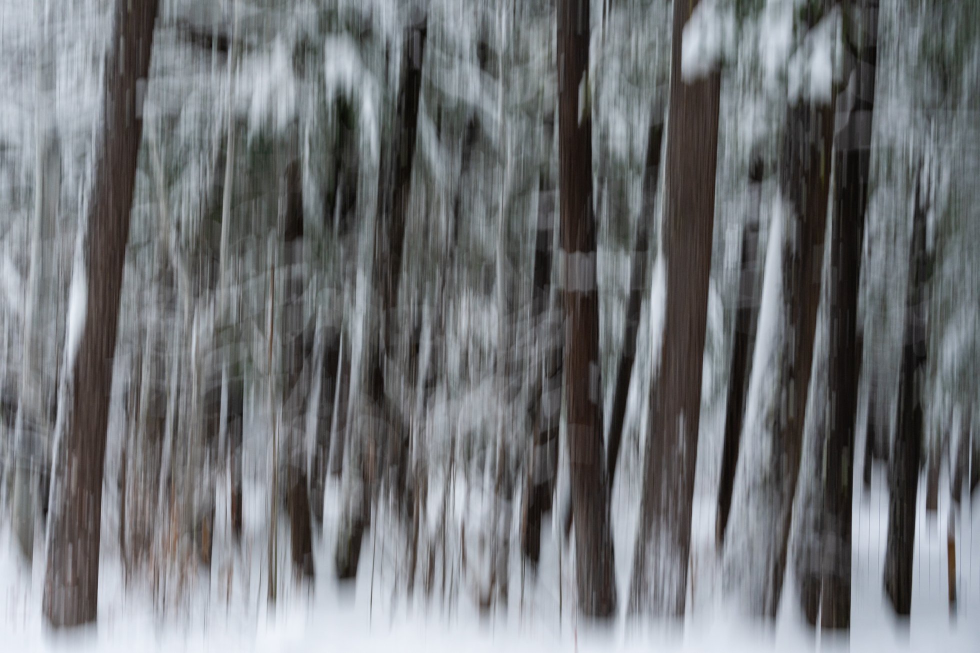 2023.01.05 Winter in Winthrop WA© Jennifer Carr Photography-20.jpg
