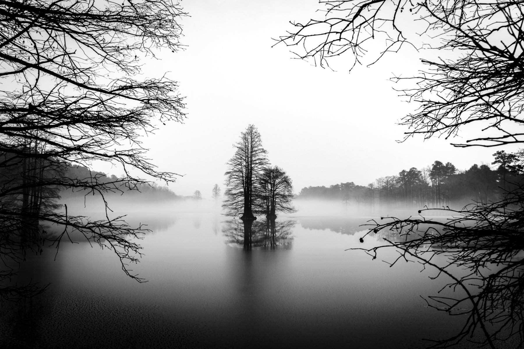 Stumpy Lake Natural Area