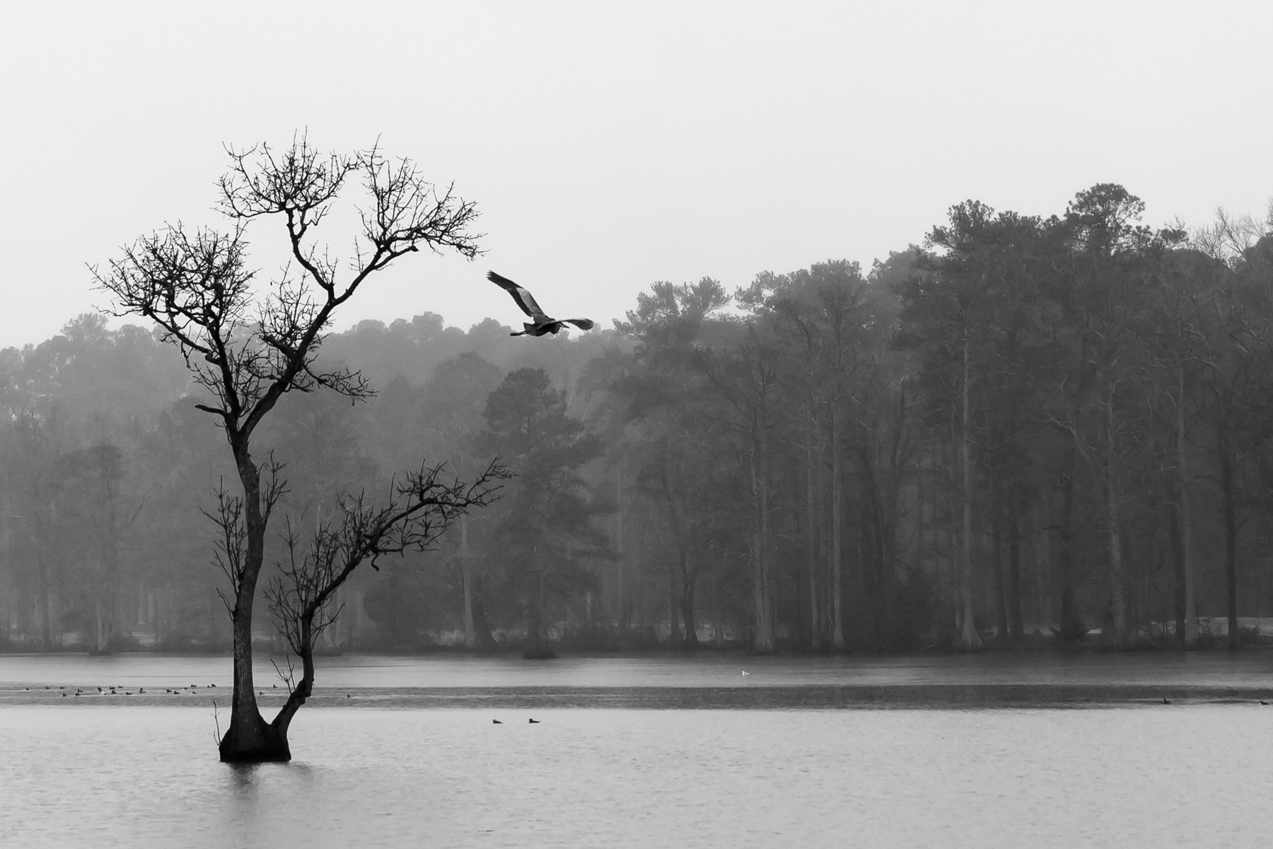 Stumpy Lake Natural Area