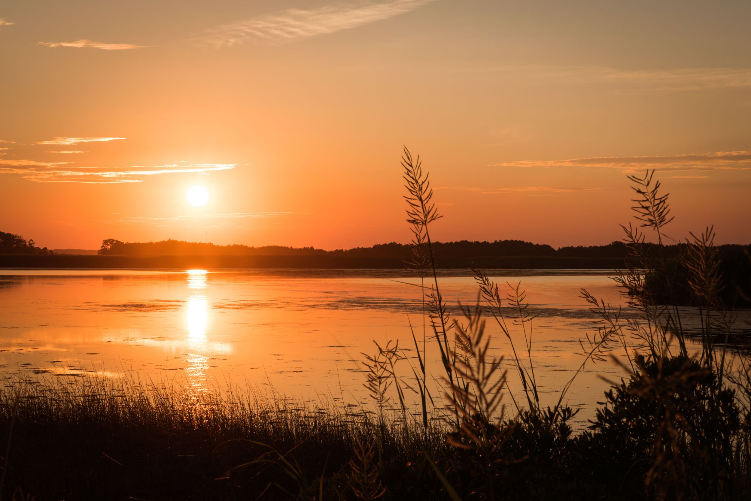 Sunset at Back Bay National Wildlife Refuge Sandbridge Virginia Beach.jpg