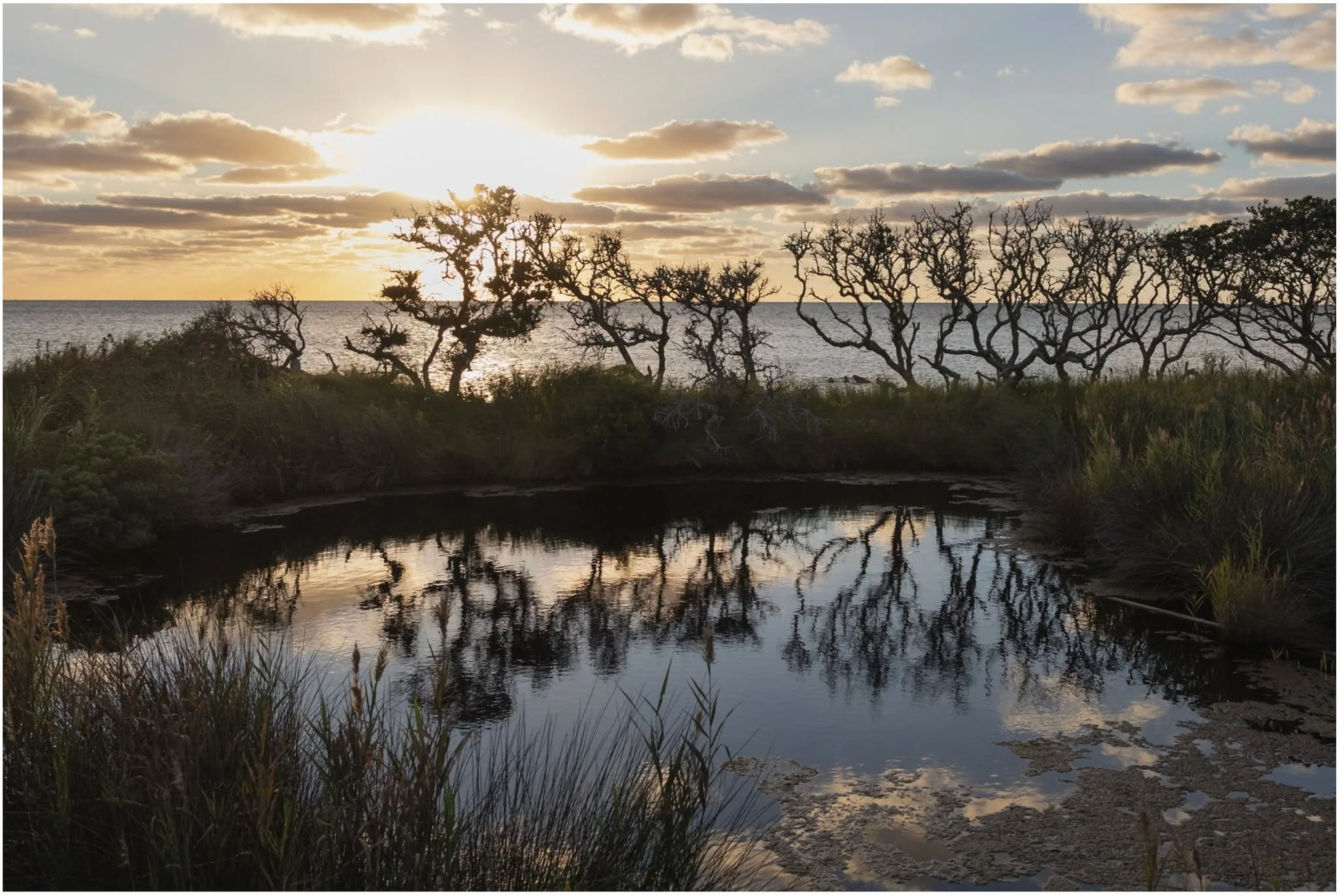 We are thrilled and so proud to share that @kerrizastrow received an honorable mention in the Light Study category of @clickprophotographers @click.magazine  VOICE competition for this image taken at the Saltwater Retreat last fall.  Congrats Kerri!