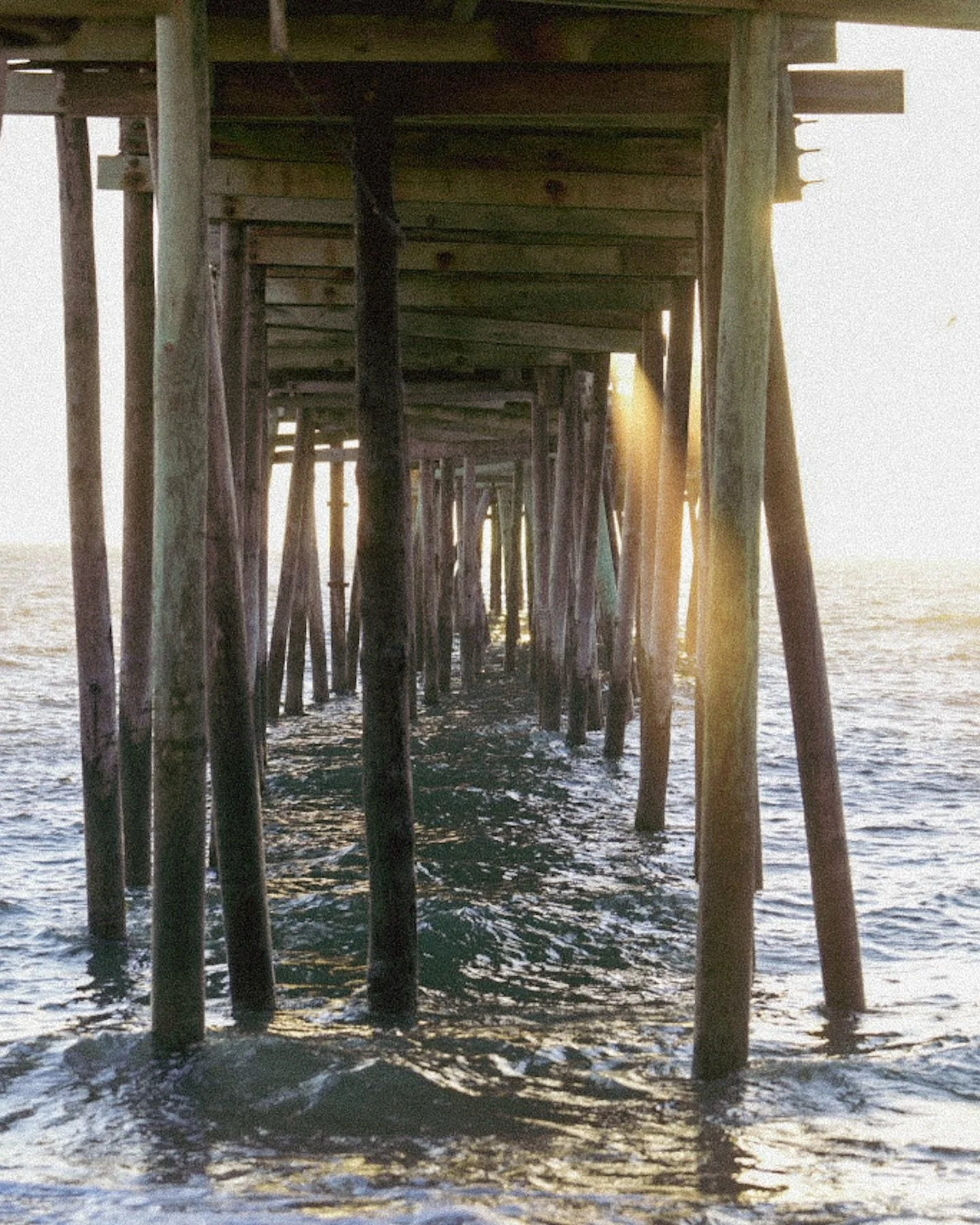 Little glimmers are everywhere if you look close enough 💛

#capehatterasnationalseashore #avonpier #outerbanks  #sunrise