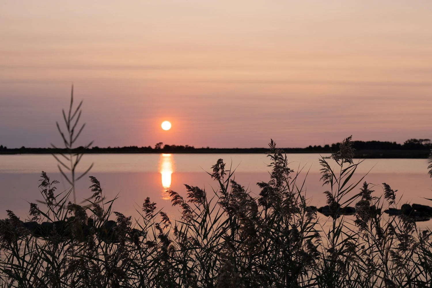 These nights when the sun sets brilliantly
I&rsquo;m left to stare in wonder
Pausing to take in the peace and quiet
The only sounds coming from the marshes below
I wish I could bottle up the senses
To carry with me in a jar
I only have the click of t