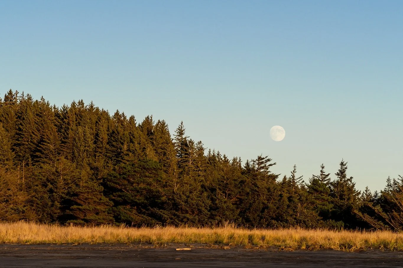 Almost full 🌖 We likely won&rsquo;t see tonight&rsquo;s Beaver Supermoon in Seattle, so I&rsquo;m revisiting moonrises in my catalog.  The quiet arrival of the moon over the dark, evergreens at Cape Disappointment is the perfect calm opposite the sk