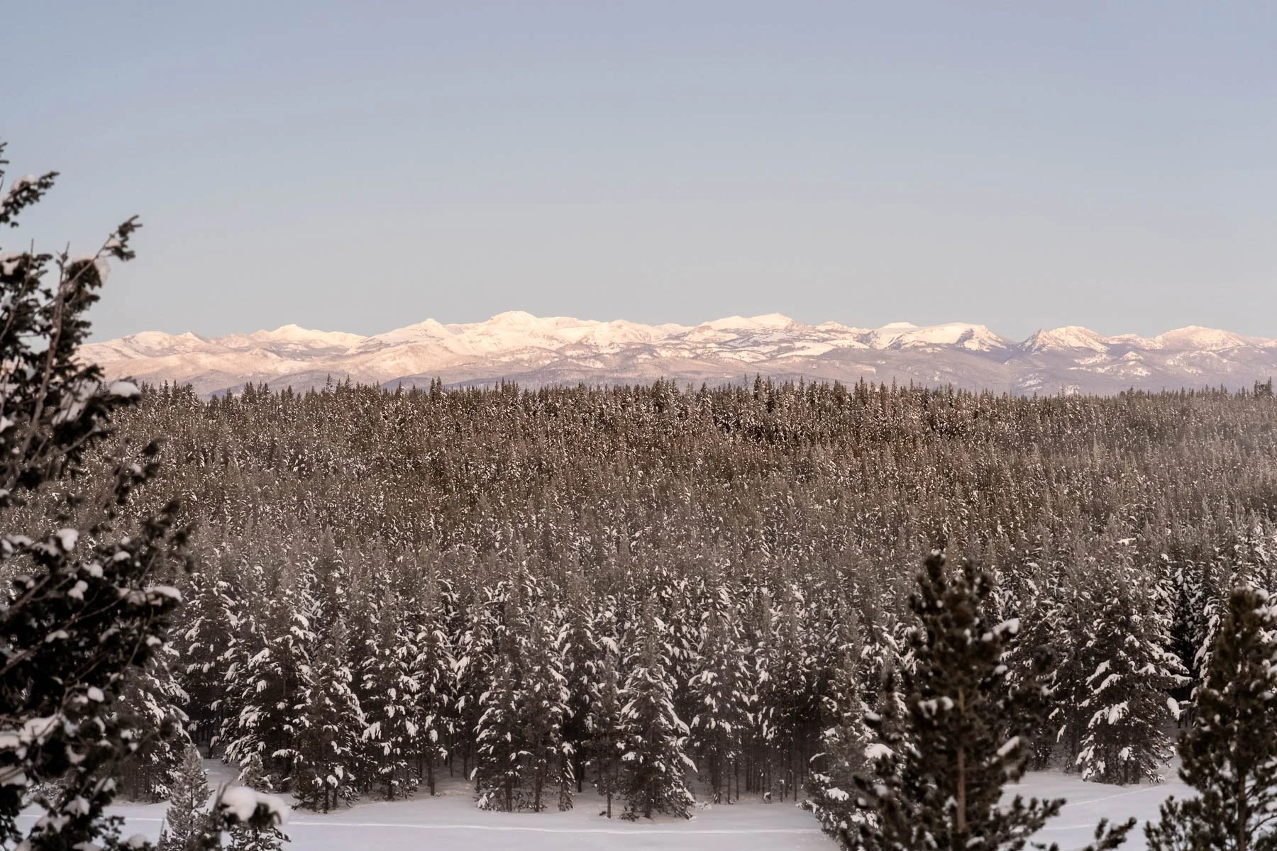 Yellowstone National Park Winter Landscape and Wildlife Photography-2.jpg
