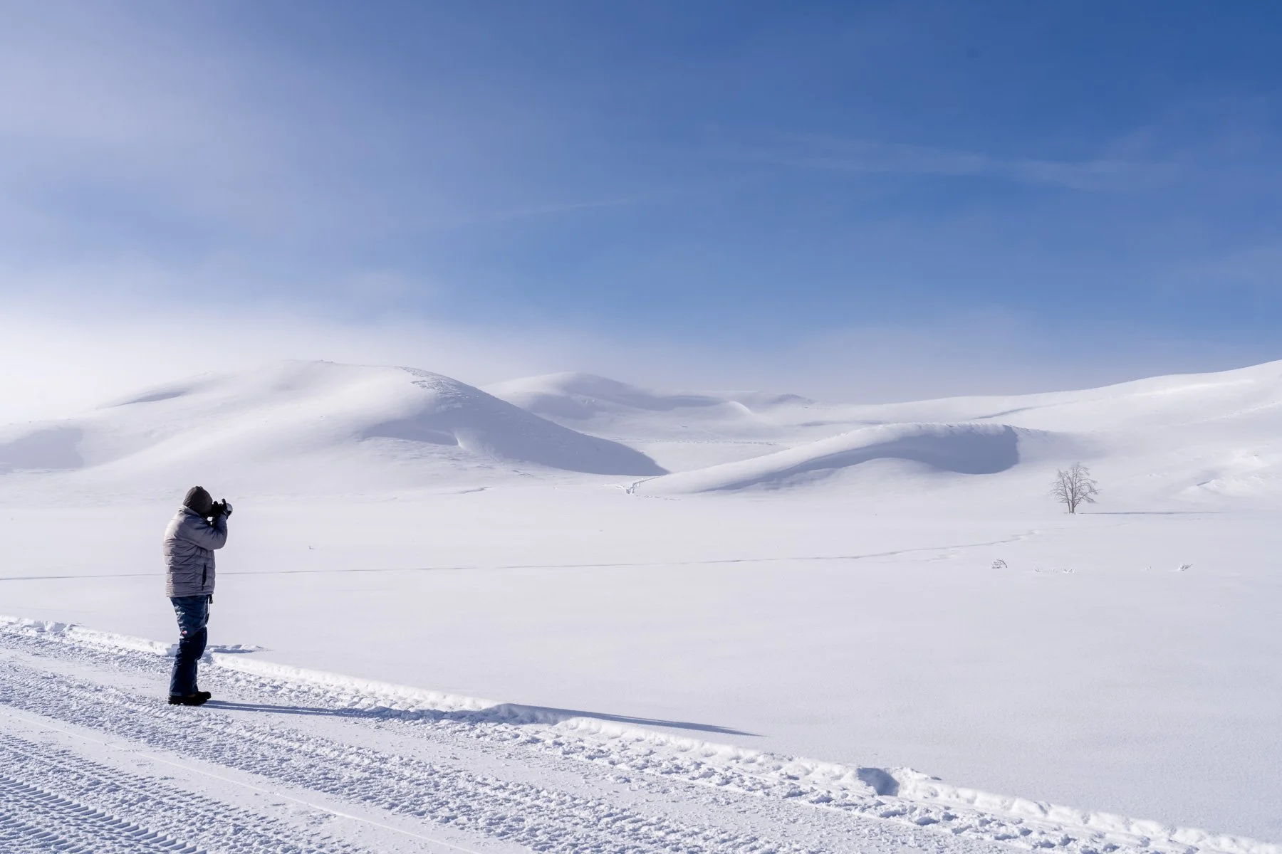 Yellowstone National Park Winter Landscape and Wildlife Photography-6.jpg