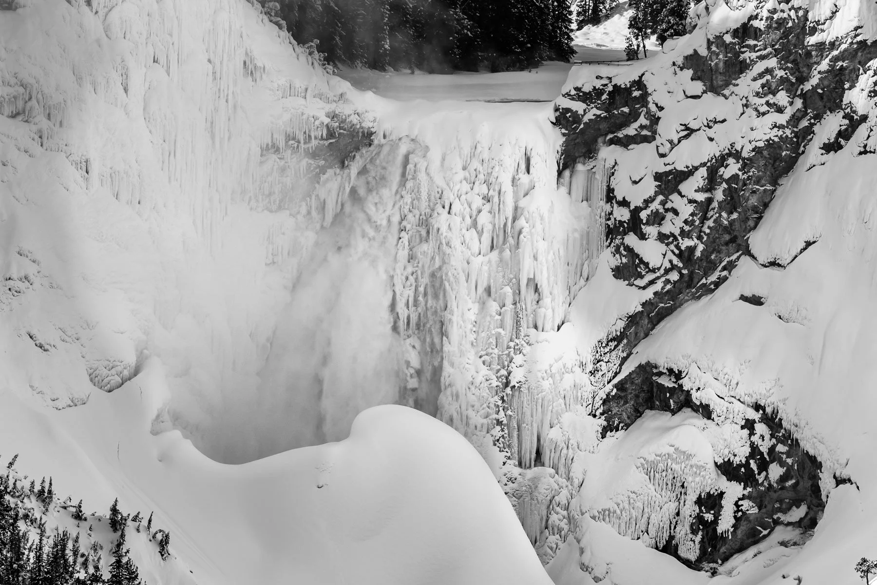 Yellowstone National Park Winter Landscape and Wildlife Photography-8.jpg