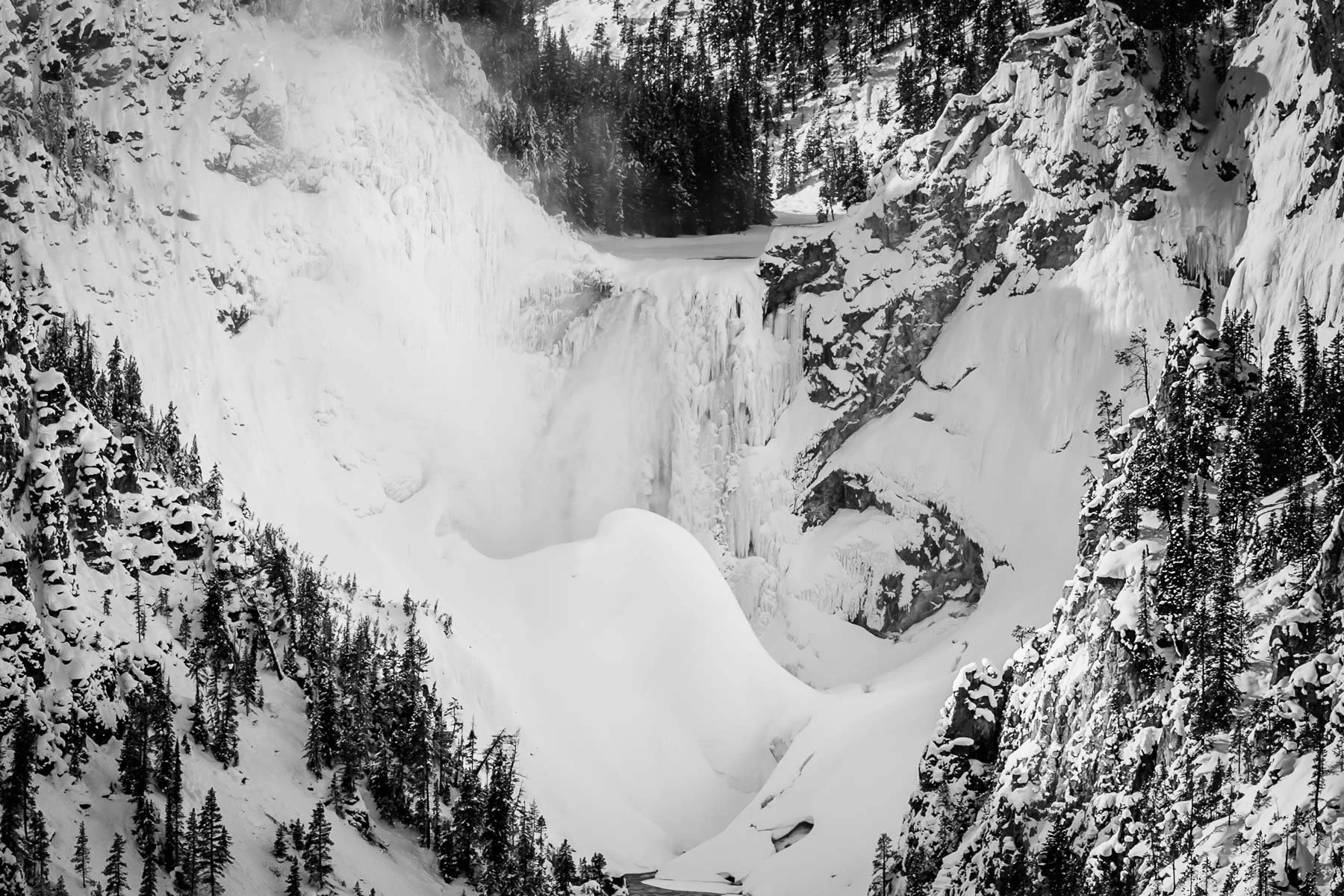 Yellowstone National Park Winter Landscape and Wildlife Photography-9.jpg