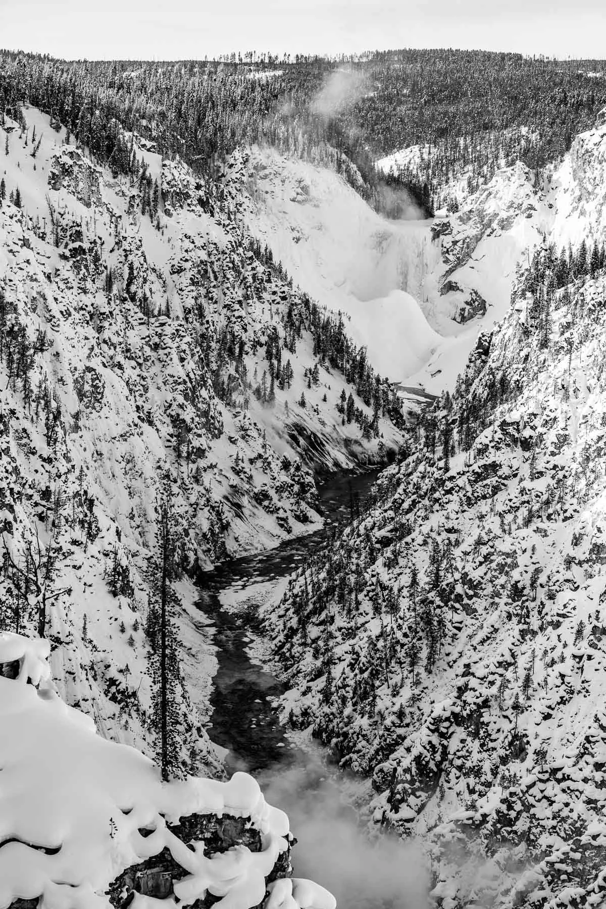 Yellowstone National Park Winter Landscape and Wildlife Photography-10.jpg