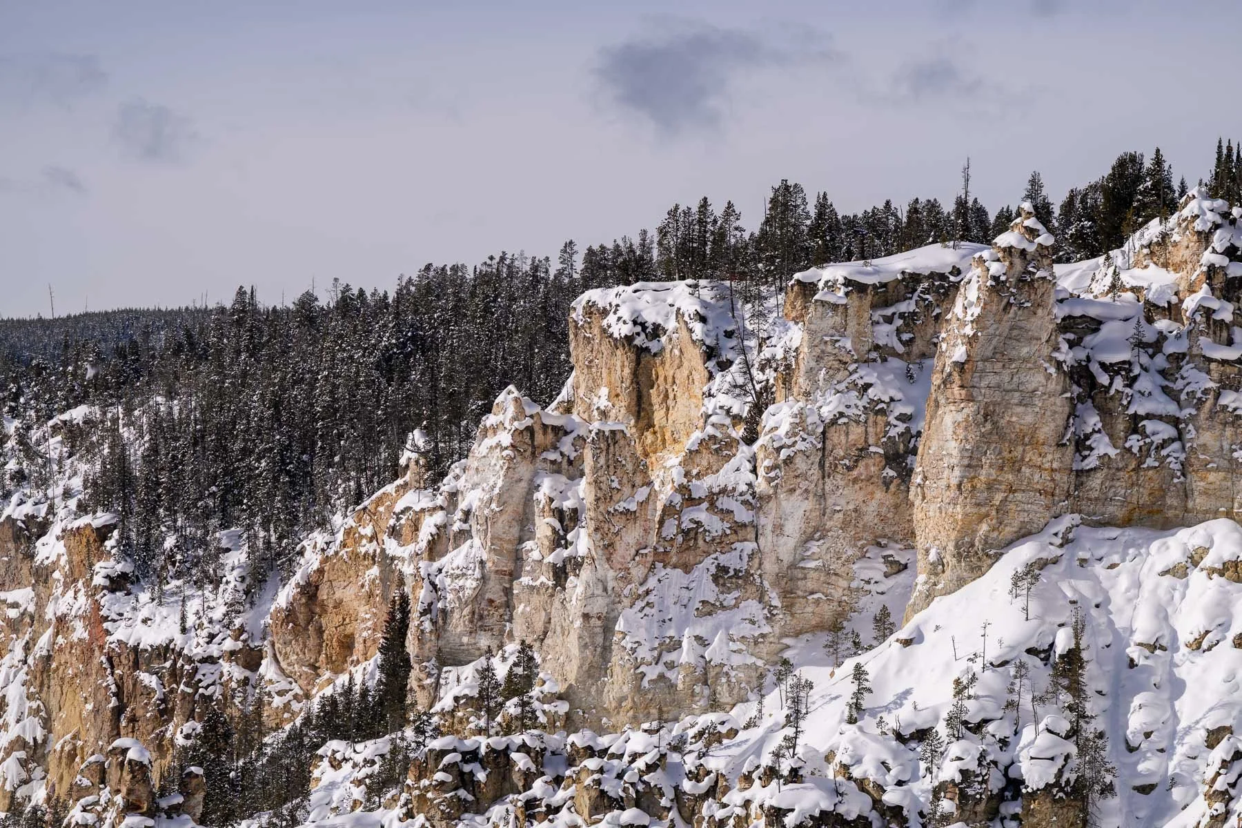 Yellowstone National Park Winter Landscape and Wildlife Photography-11.jpg