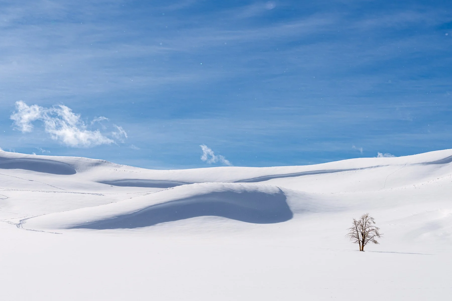 Yellowstone National Park Winter Landscape and Wildlife Photography-12.jpg