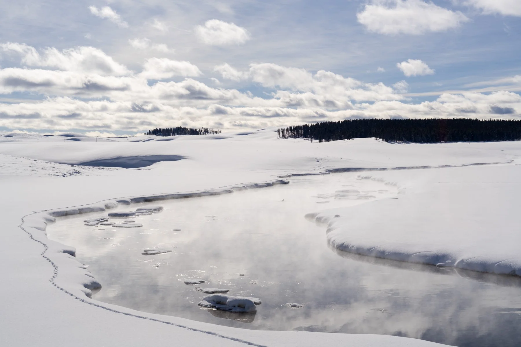 Yellowstone National Park Winter Landscape and Wildlife Photography-13.jpg