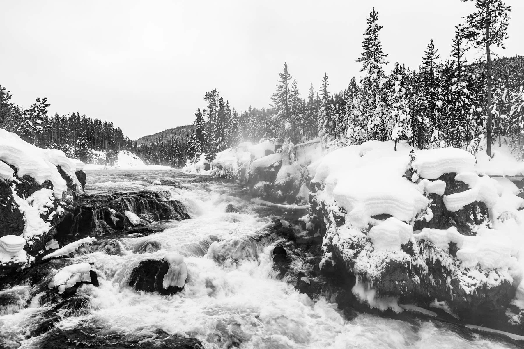 Yellowstone National Park Winter Landscape and Wildlife Photography-18.jpg