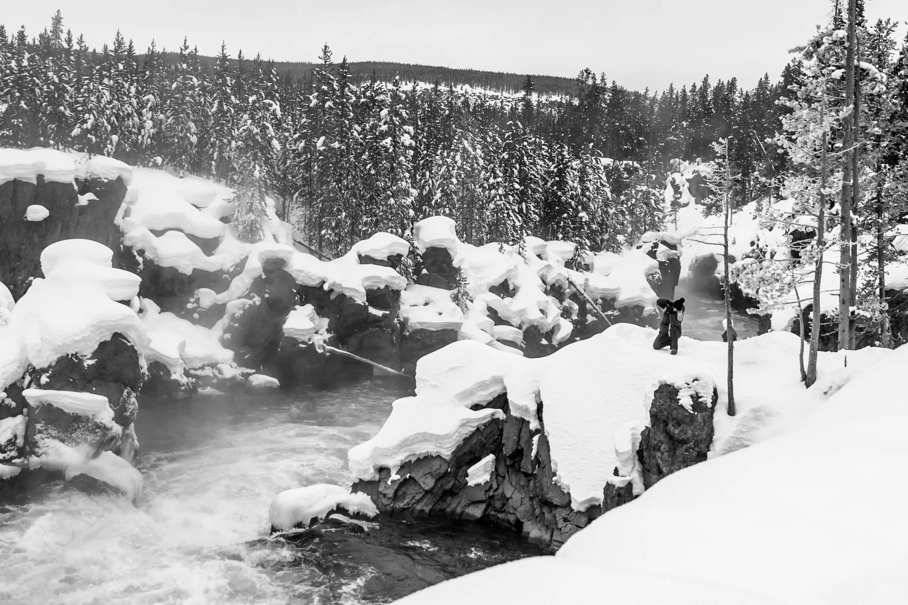 Yellowstone National Park Winter Landscape and Wildlife Photography-19.jpg