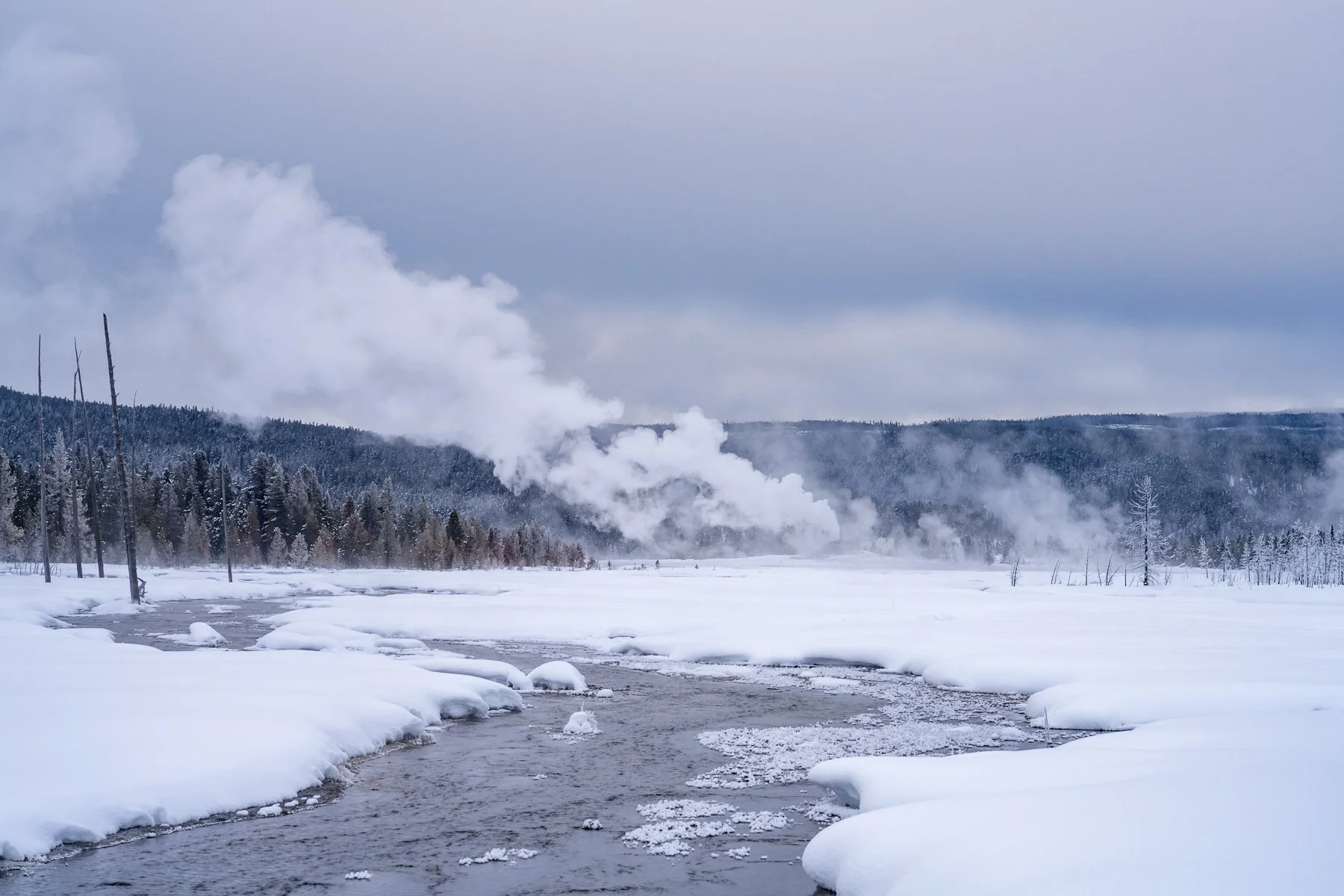 Yellowstone National Park Winter Landscape and Wildlife Photography-24.jpg