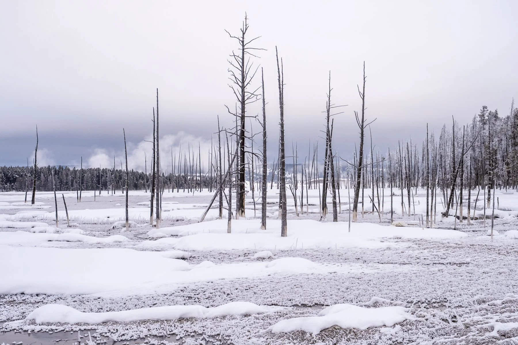 Yellowstone National Park Winter Landscape and Wildlife Photography-25.jpg