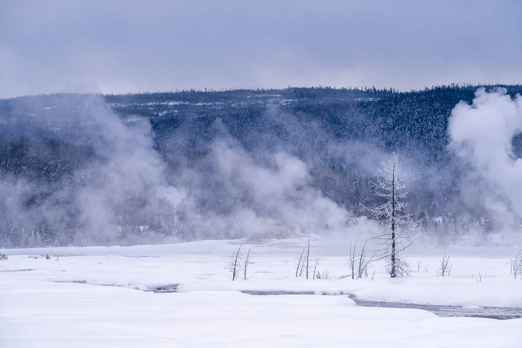 Yellowstone National Park Winter Landscape and Wildlife Photography-26.jpg