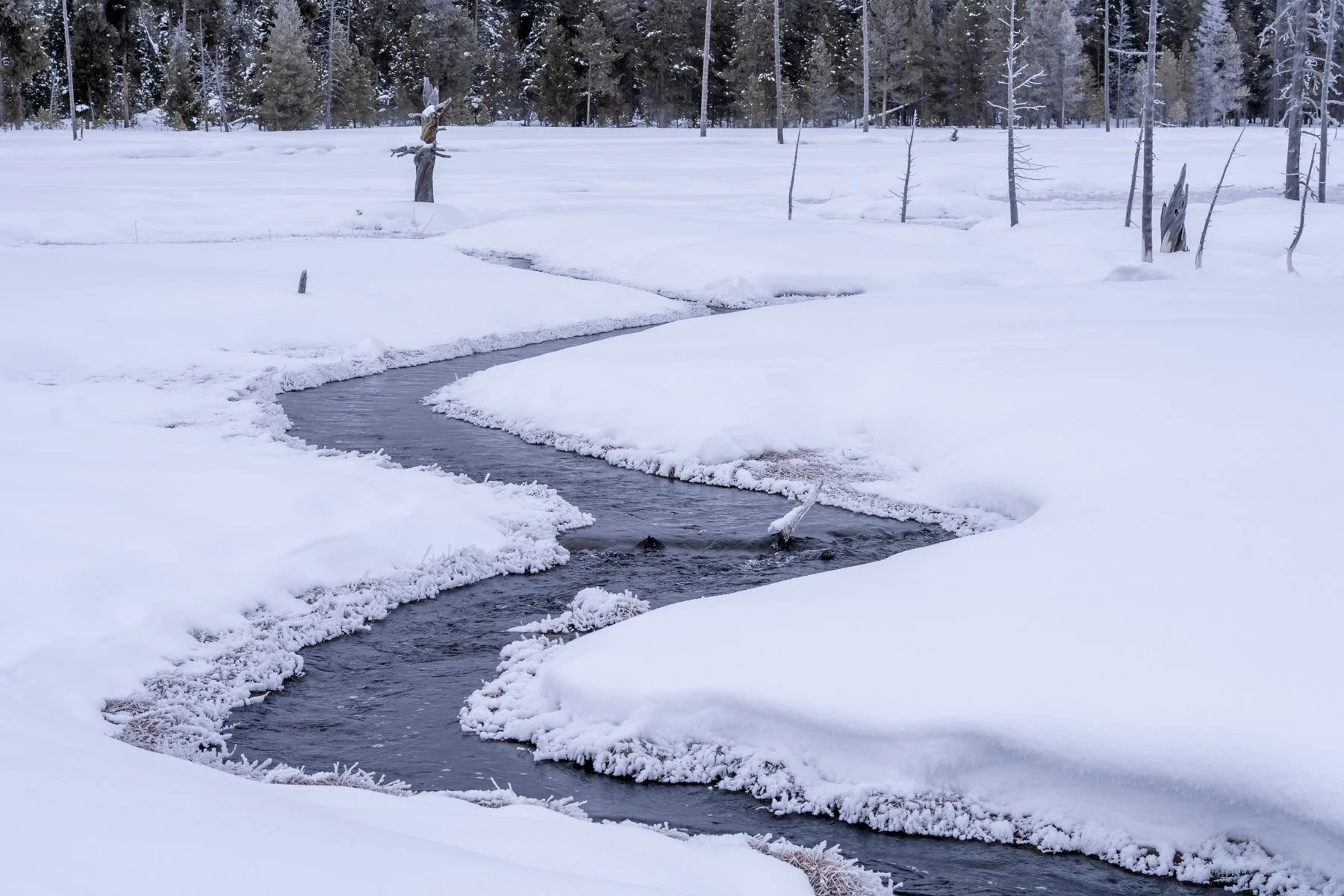 Yellowstone National Park Winter Landscape and Wildlife Photography-27.jpg