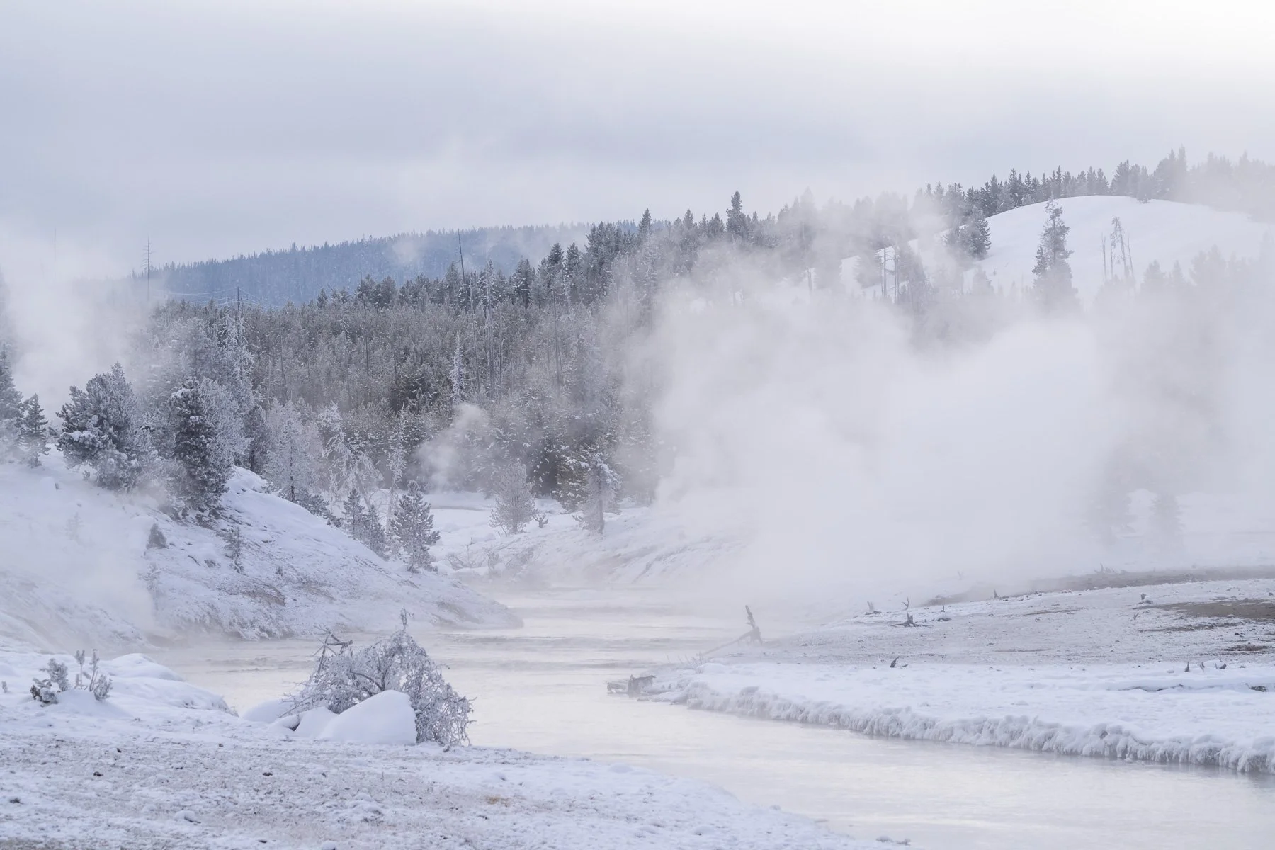 Yellowstone National Park Winter Landscape and Wildlife Photography-31.jpg