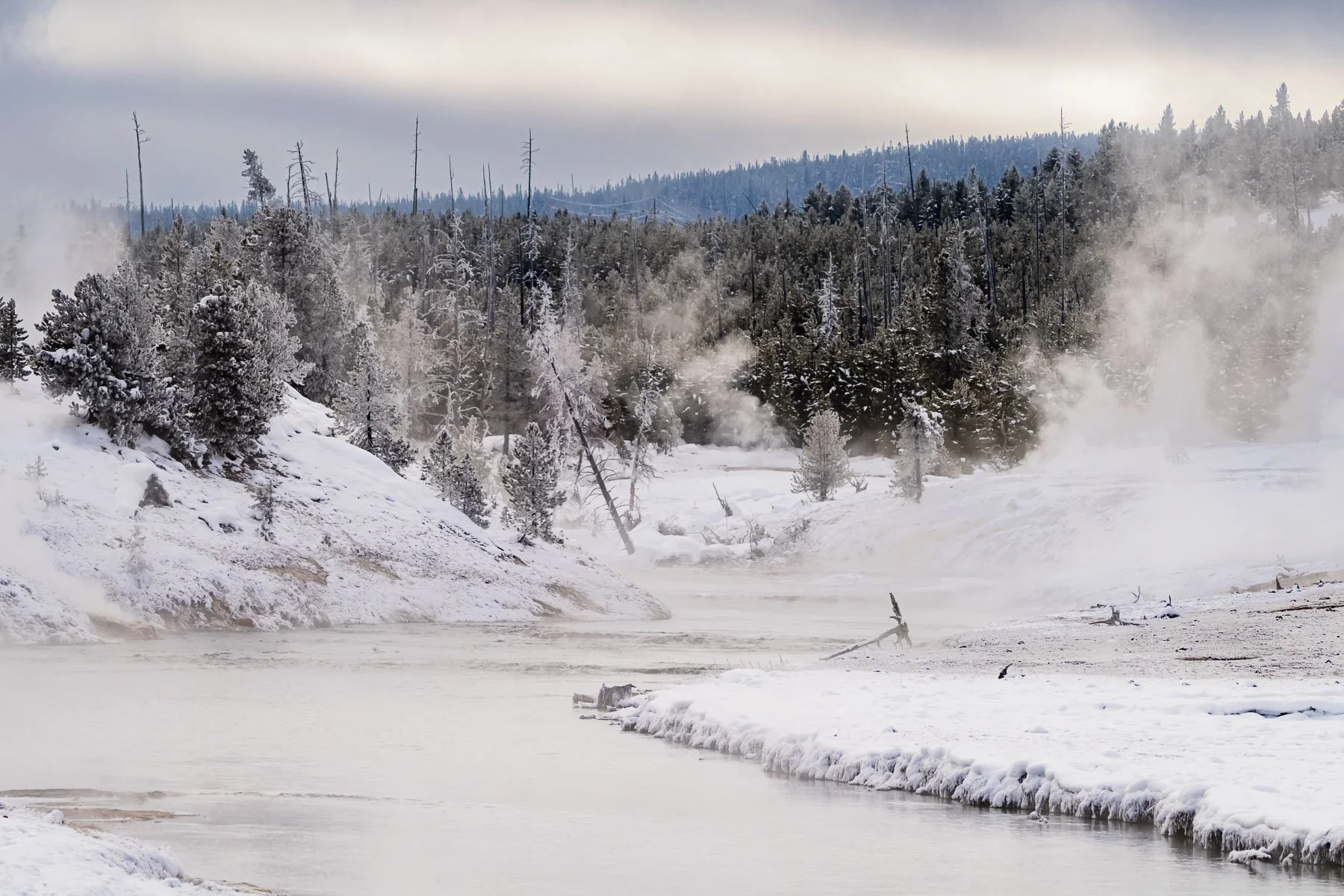 Yellowstone National Park Winter Landscape and Wildlife Photography-33.jpg