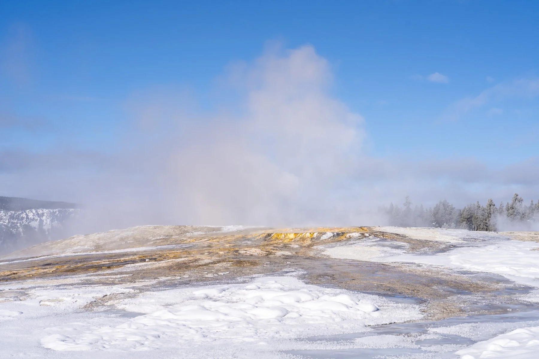 Yellowstone National Park Winter Landscape and Wildlife Photography-34.jpg