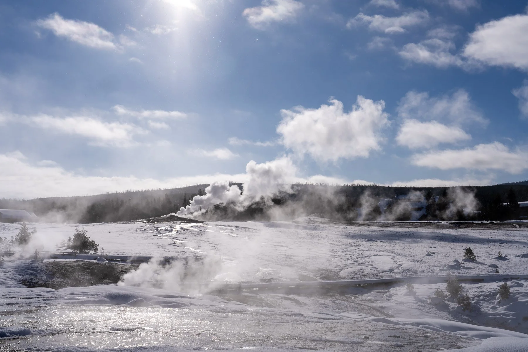 Yellowstone National Park Winter Landscape and Wildlife Photography-38.jpg