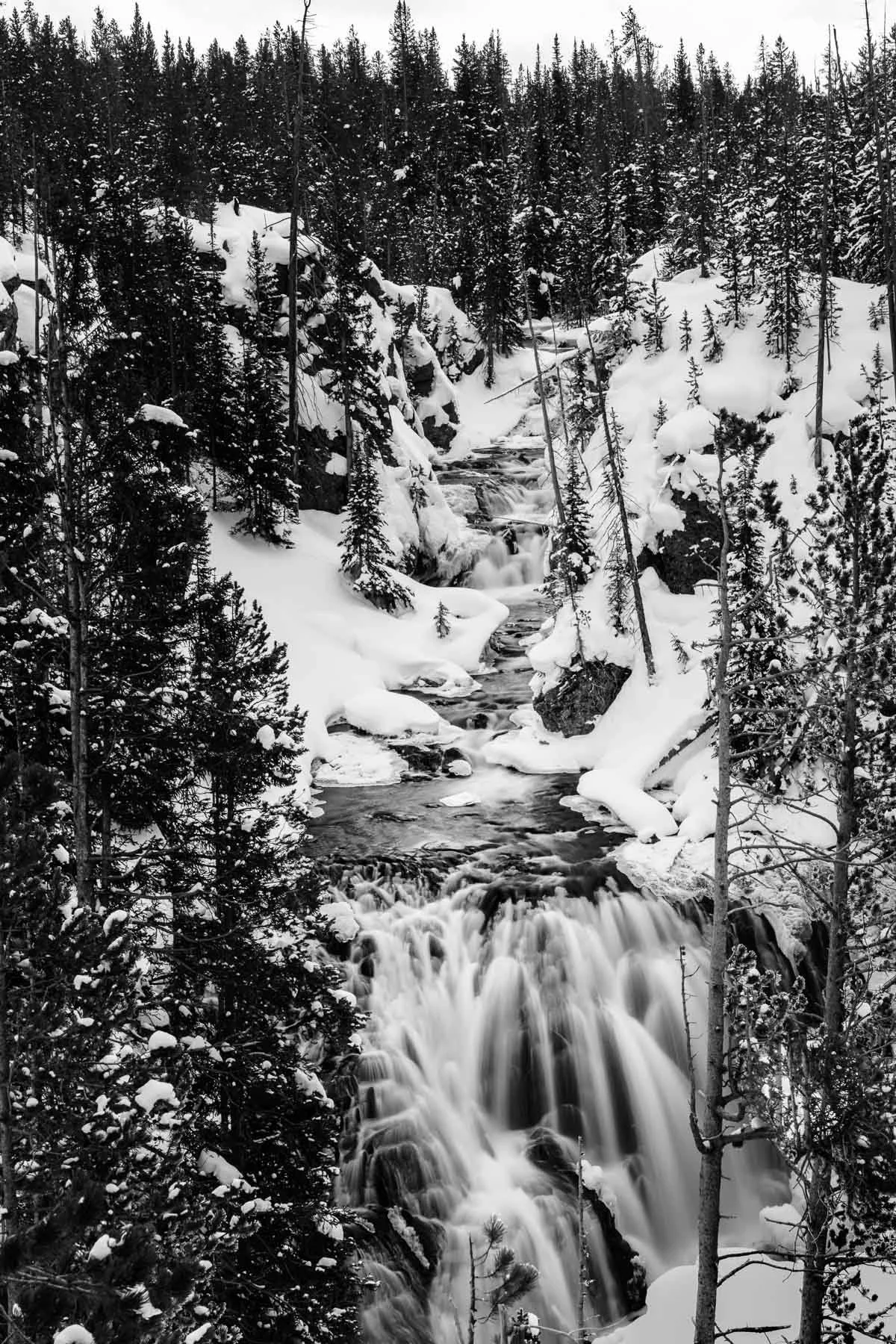 Yellowstone National Park Winter Landscape and Wildlife Photography-40.jpg