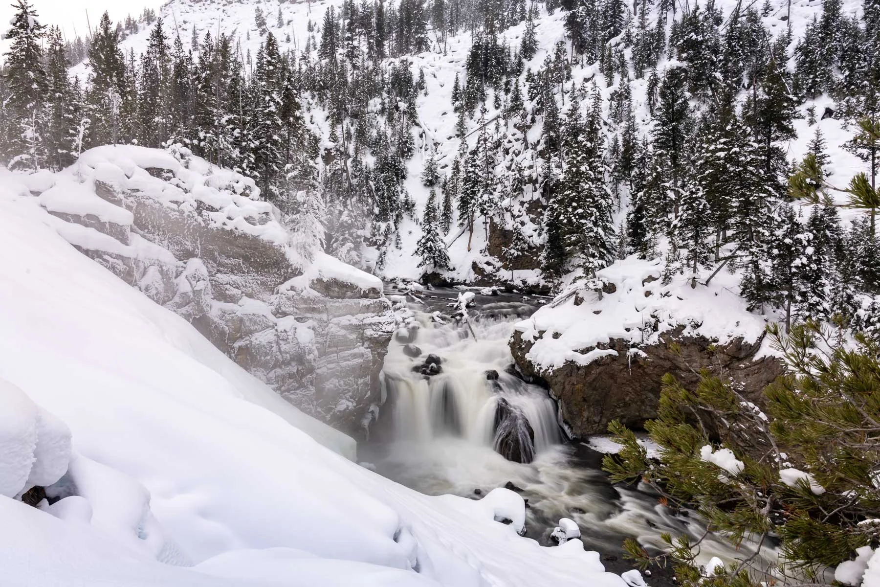 Yellowstone National Park Winter Landscape and Wildlife Photography-43.jpg