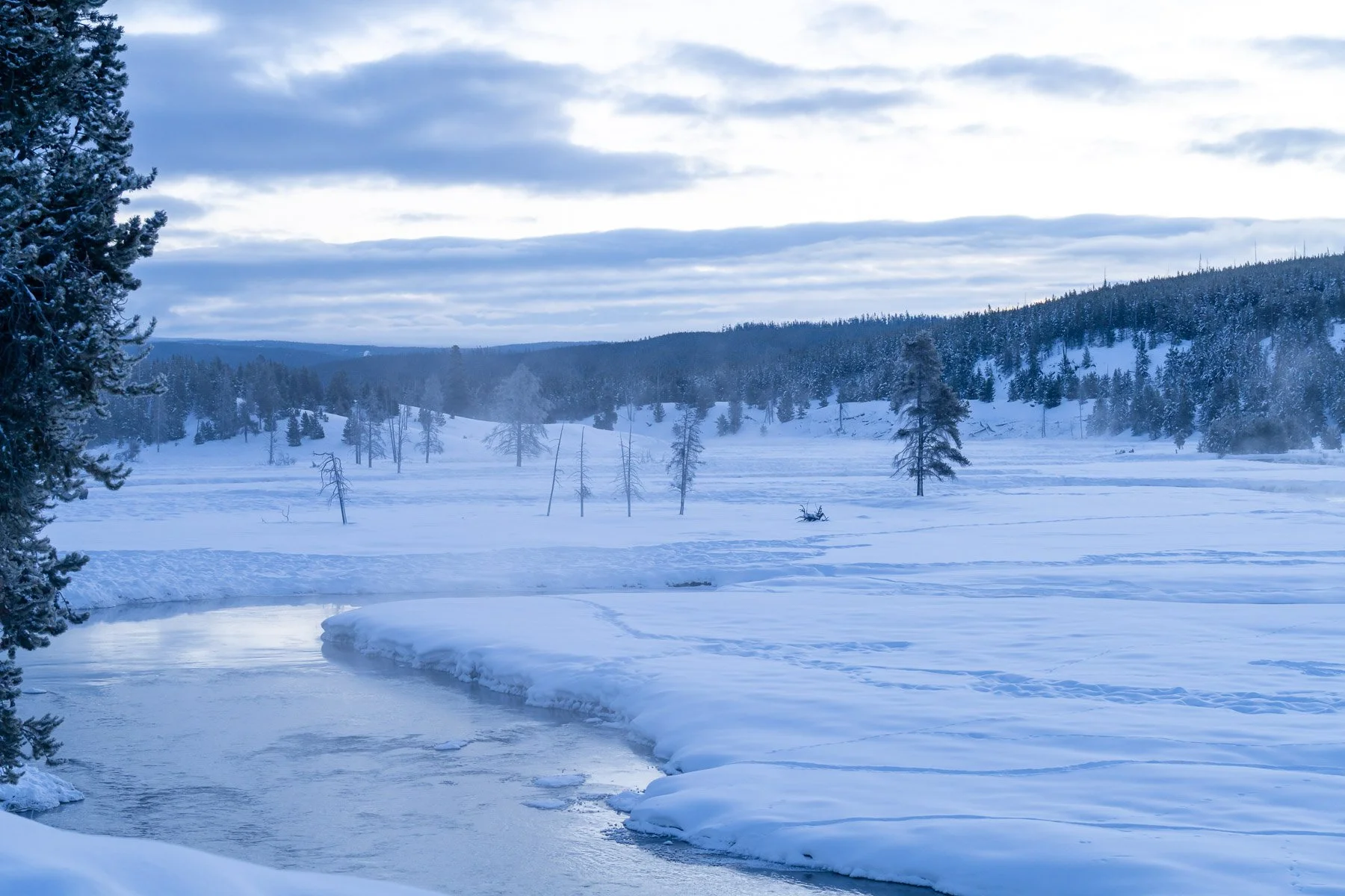 Yellowstone National Park Winter Landscape and Wildlife Photography-45.jpg