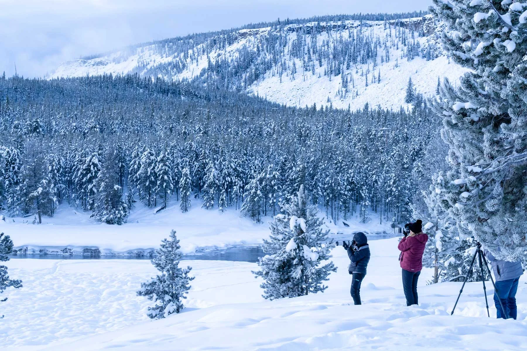 Yellowstone National Park Winter Landscape and Wildlife Photography-47.jpg