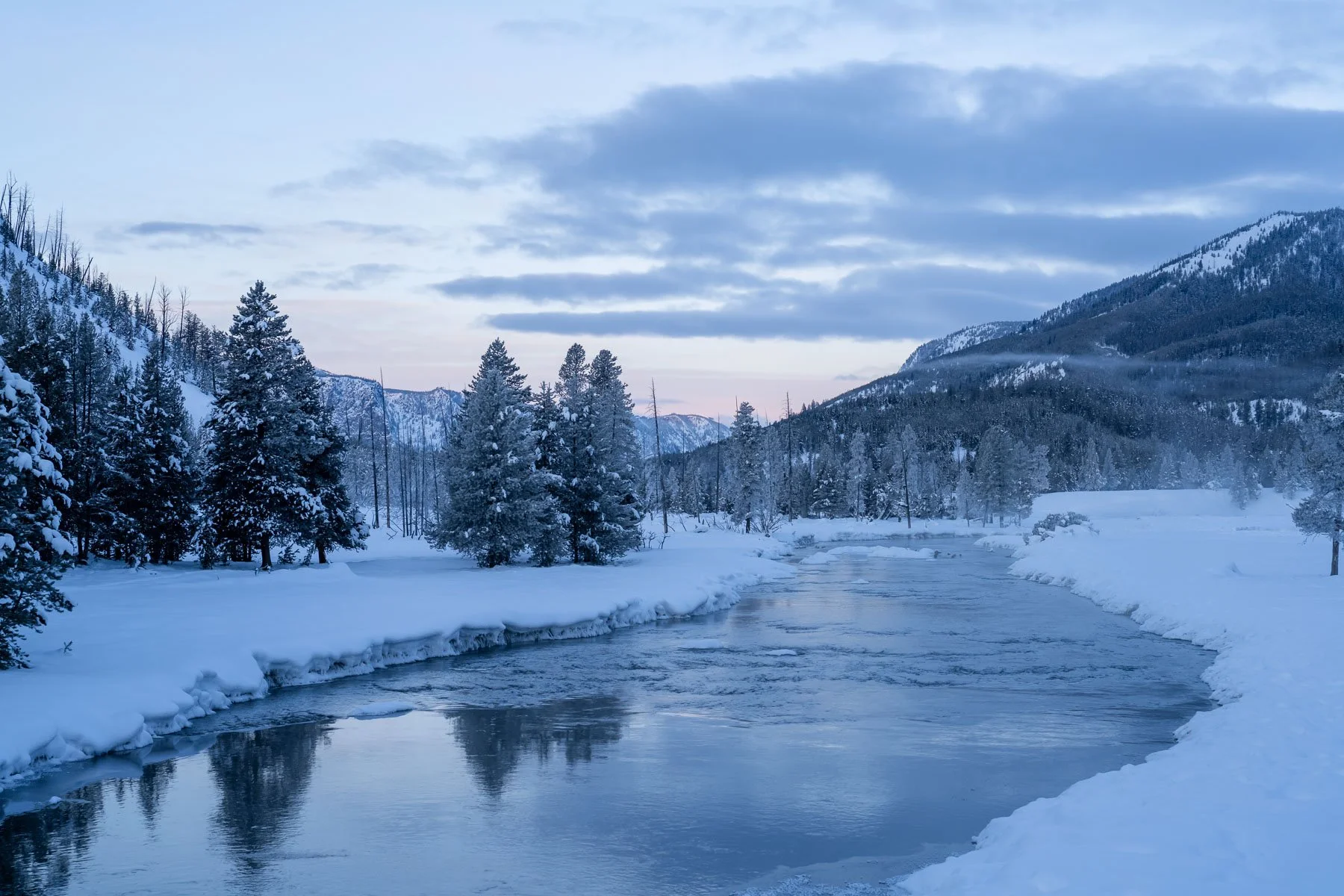 Yellowstone National Park Winter Landscape and Wildlife Photography-49.jpg