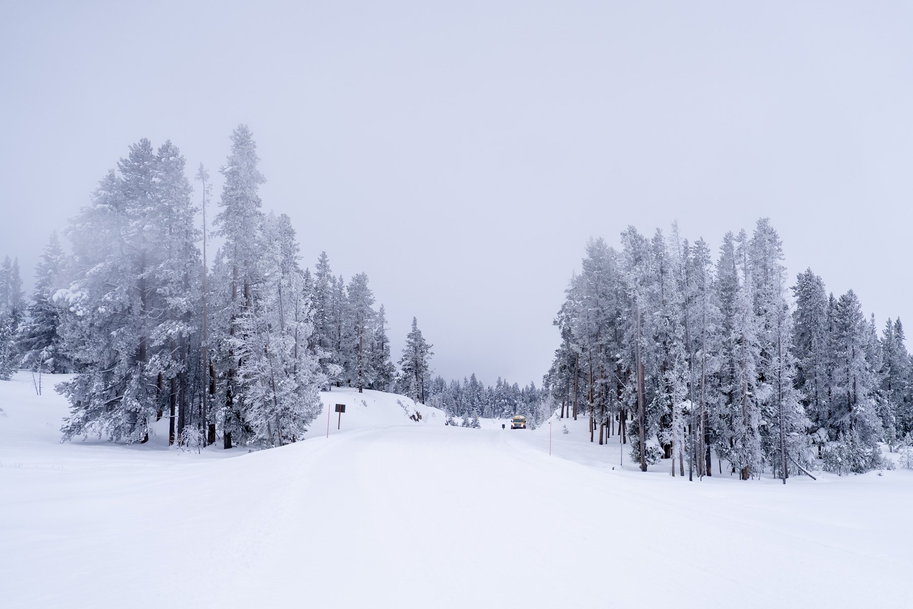 Yellowstone National Park Winter Landscape and Wildlife Photography-56.jpg