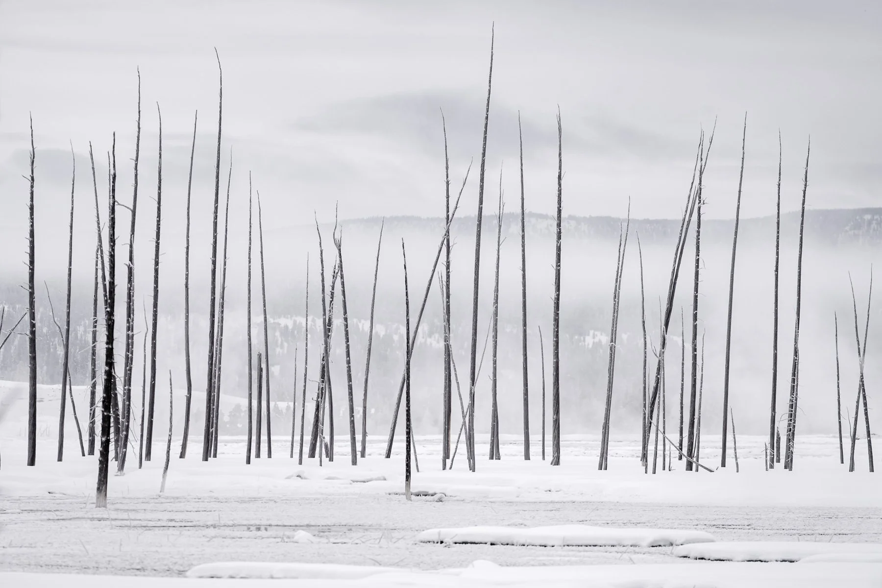 Yellowstone National Park Winter Landscape and Wildlife Photography-60.jpg