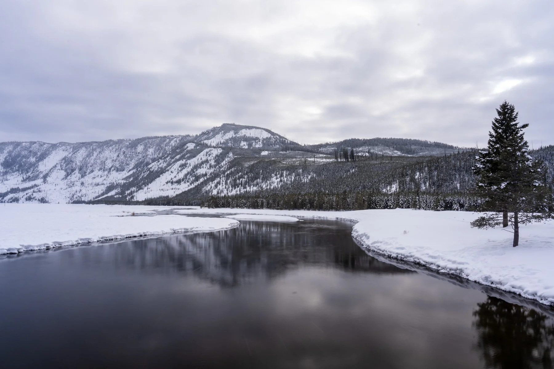 Yellowstone National Park Winter Landscape and Wildlife Photography-76.jpg