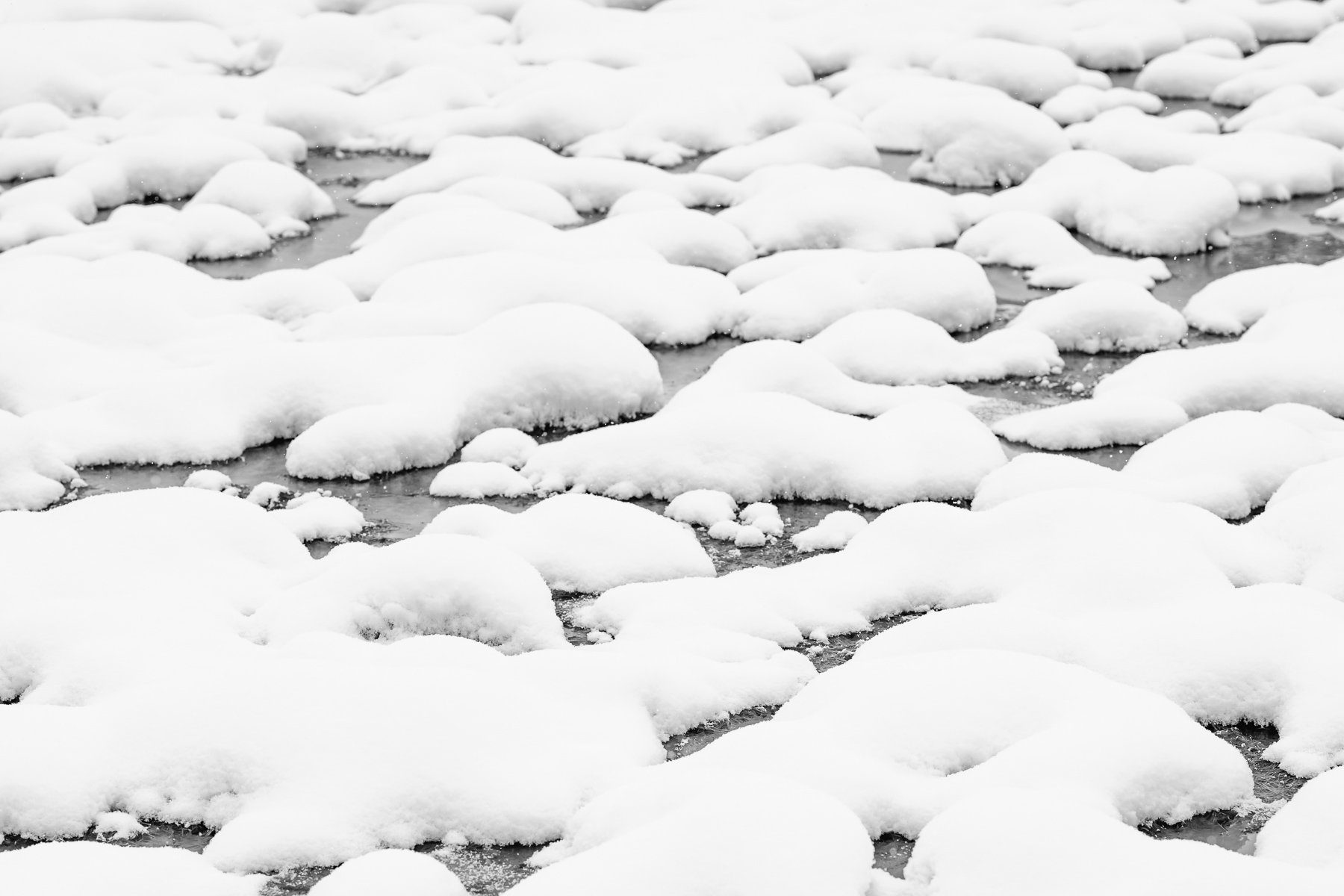 Yellowstone National Park Winter Landscape and Wildlife Photography-80.jpg