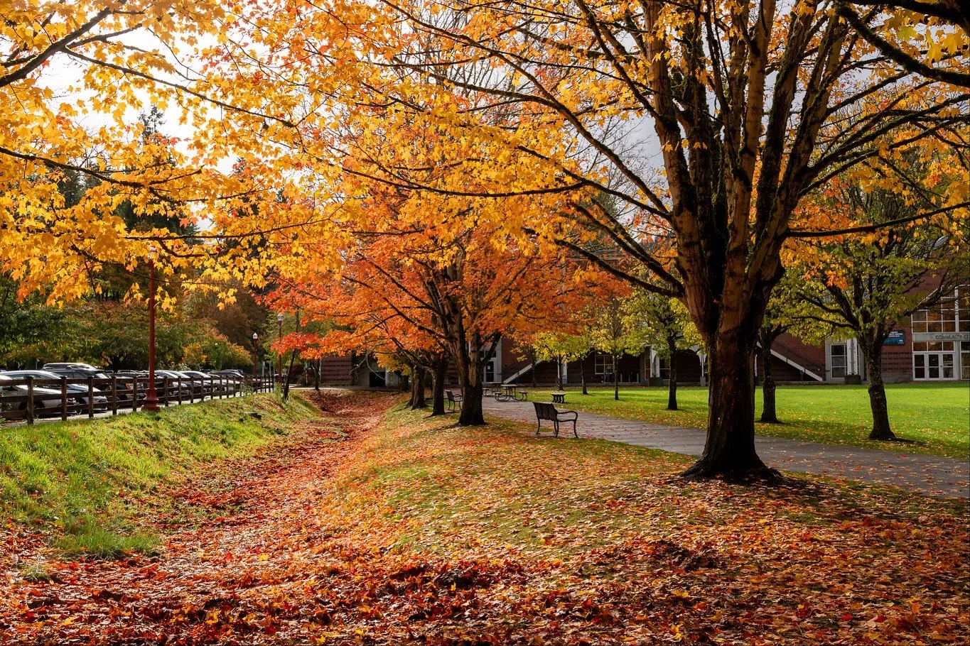 🍁Fall has been lingering in the PNW.  While we&rsquo;re starting to get a little antsy with the lack of snow in the mountains, it&rsquo;s also been nice to appreciate the beauty of these colors while they last 🧡🍁

A few favorites from my photo wal