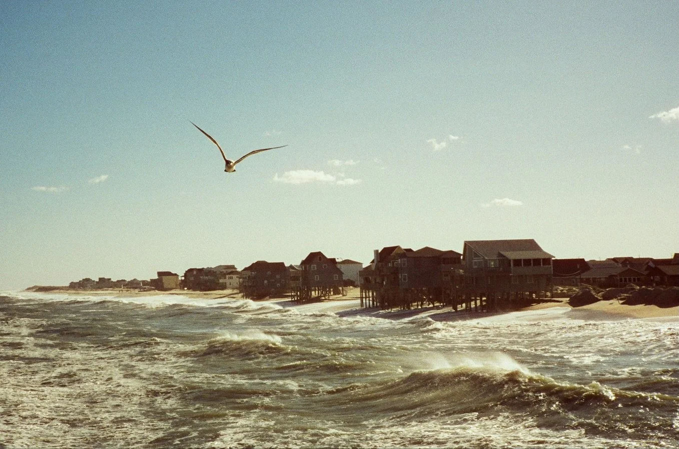 🎞️ Fishing for drum on the @rodanthepier 🎣 The wind was absolutely howling, but the sun was shining and the fish were biting. I shot my first roll of @cinestillfilm 400d at The Saltwater Retreat and I think the colors worked perfectly for this seri