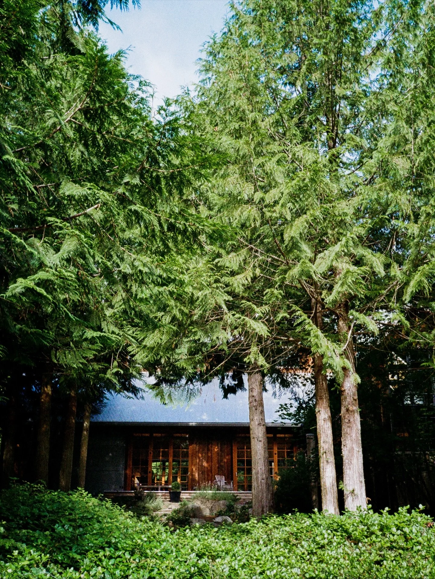 🎞️A little tribute to The Barn on Lopez Island. 💚 I was first invited to visit this special place in 2022 to provide photography mentoring.  Since then, I was invited back a few times each summer to play a small role in the creation of @amandasmcca