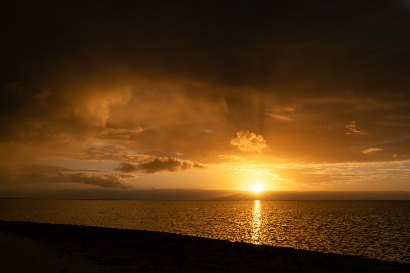 Scenes from a tiny island in the middle of the Great Barrier Reef 🏝️ @heronisland is just 40 acres in size- about 30 football fields.  You can easily walk the entire island, taking in the views of the surrounding coral reef.  Life on Heron Island mo