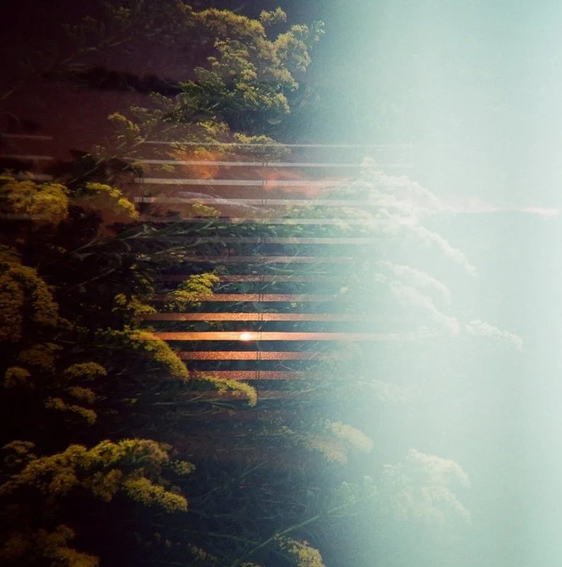 🎞️ One of my favorite parts of shooting film are the surprises. This image was an accidental double exposure with an accidental light leak on an otherwise unimpressive roll shot during @holgaweek. I love how the sunrise captured through the blinds i
