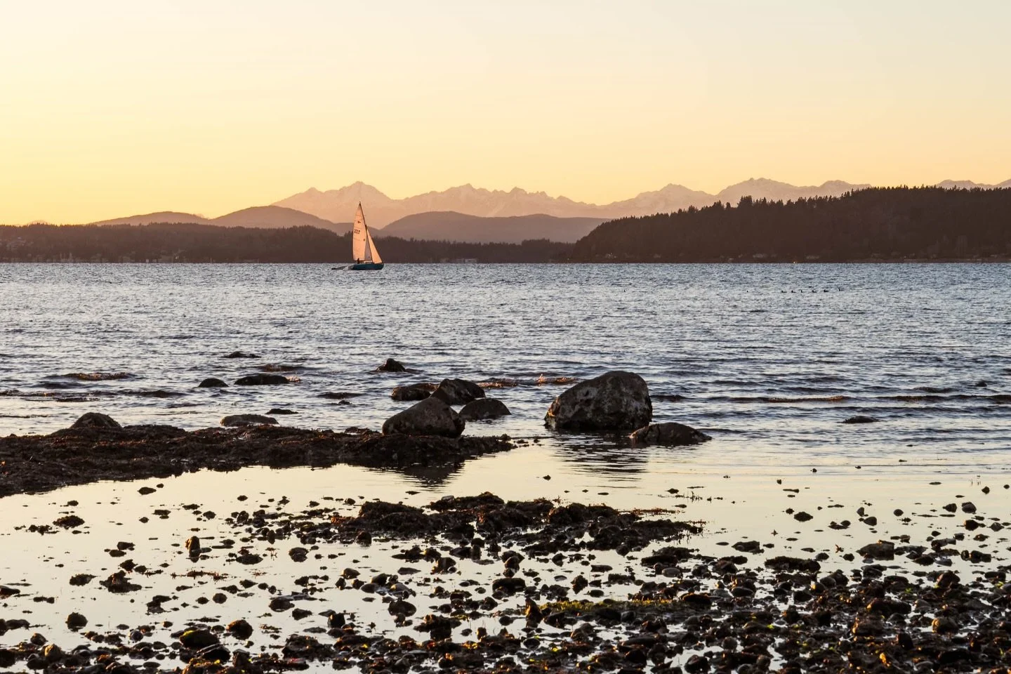 Happy Small Business Saturday! 🎉 I&rsquo;m celebrating by thanking you with 50% off of all online mentoring! 

Ready to transform your vision for 2026? This weekend is your chance to invest in your creative journey for half the price.

Use code SBS2