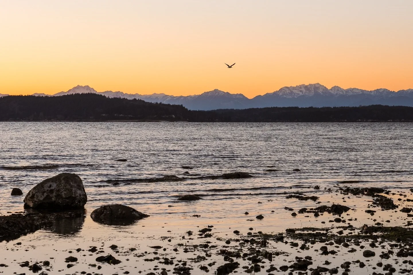 Moments like these sear themselves into my heart, leaving behind an imprint like a sticker on a piece of luggage (or water bottle!). A reminder of the incredible things I&rsquo;ve had the opportunity to bear witness to.