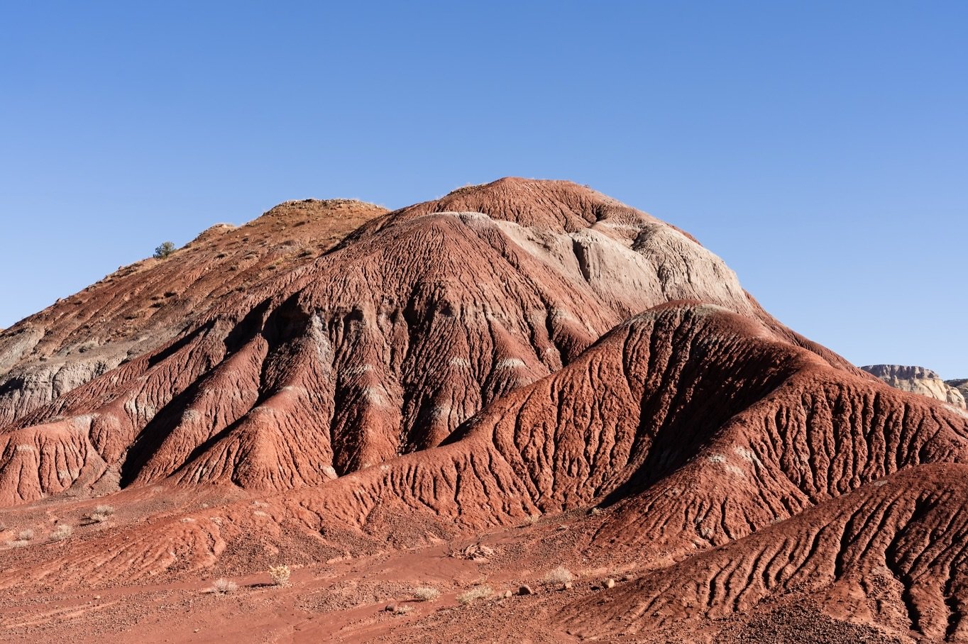Walking in the footsteps of the masters 🎨  I knew little about Georgia O&rsquo;Keeffe before this, but seeing the incredible land she called home changed everything.  I loved everything about this tour, especially learning that she was an avid photo